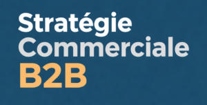 Stratégie commerciale B2B